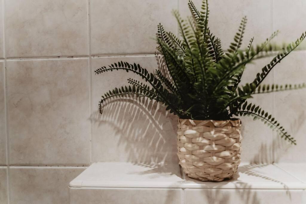 Cosy And Romantic Forest House Met Sauna Op De Veluwe Putten Esterno foto